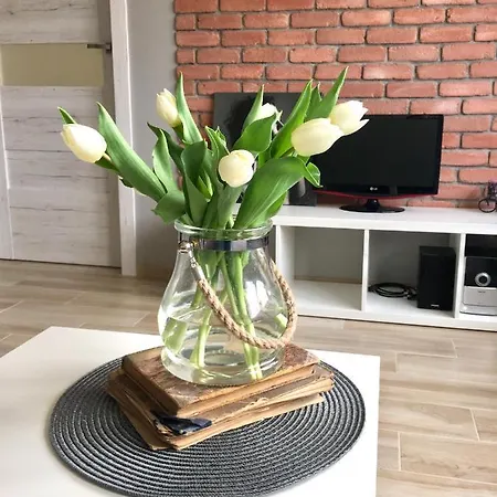 Uroczy W Gizycku Apartamento